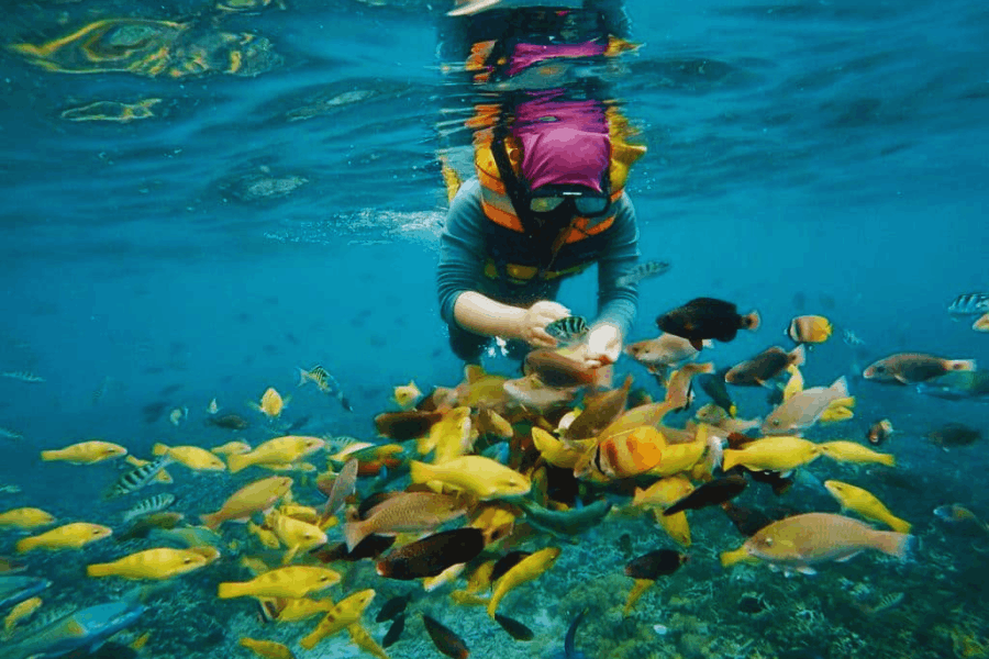 Gili-Sudak-Snorkeling