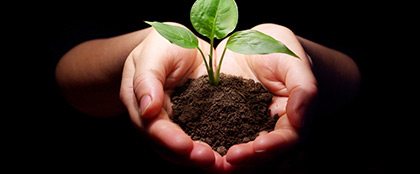 A gente colhe o que a gente planta