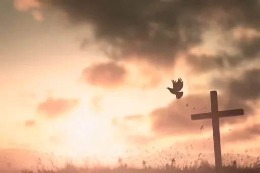João 11:25 - Eu sou a ressurreição e a vida