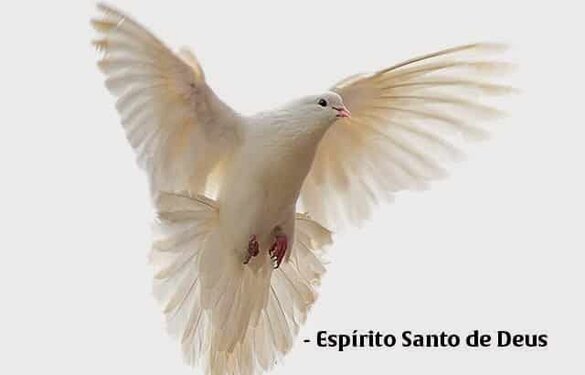 O Espírito Santo Vai Falar Com Você – Clique Aqui e Veja