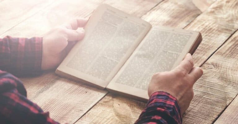Aprenda a ler e entender a bíblia