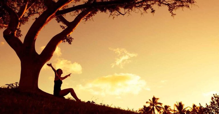 Estudo bíblico: Como fazer o estudo da Palavra e aproximar-se de Deus?