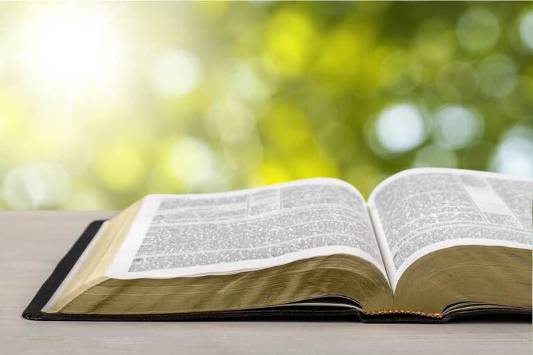 Melhores Planos de leitura da Bíblia