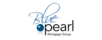 Blue Pearl Mortgage