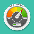 Credit Score vs. Credit Rating