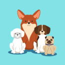 How Much Does It Cost To Own A Dog In Canada?