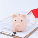 Rent Assistance Programs In Canada