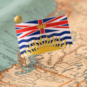 https://loanscanada.ca/wp-content/uploads/2021/06/Social-Assistance-BC.png