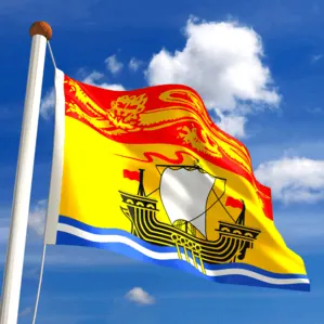 https://loanscanada.ca/wp-content/uploads/2021/08/Minimum-Wage-In-New-Brunswick-1.png