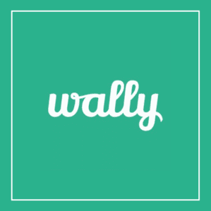 https://loanscanada.ca/wp-content/uploads/2021/08/Wally-App-Review-1.png