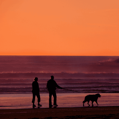 Financial Independence Retire Early (F.I.R.E)