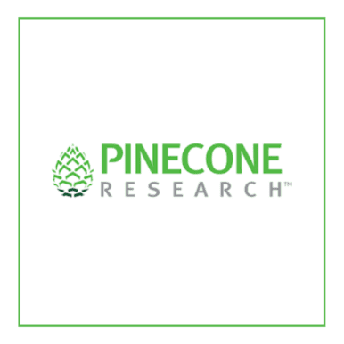 Pinecone Research Review