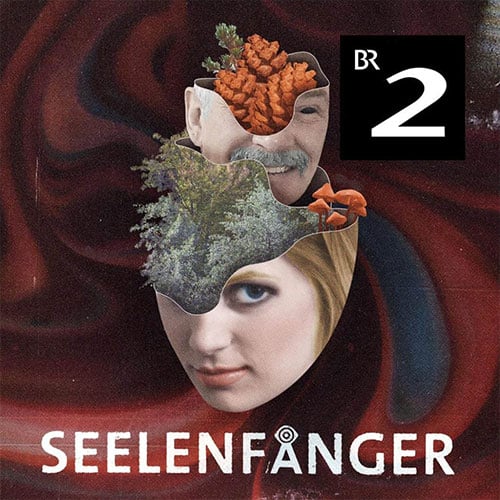 Das Cover des Podcast Seelenfänger